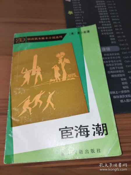 宦海弄潮，最新動態與時代變遷探究