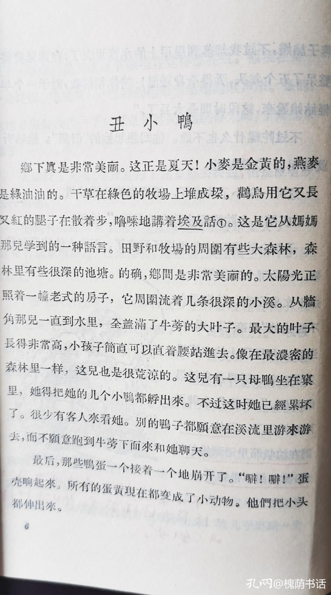 丑小鴨的逆襲，從被嘲笑到閃耀的蛻變之路