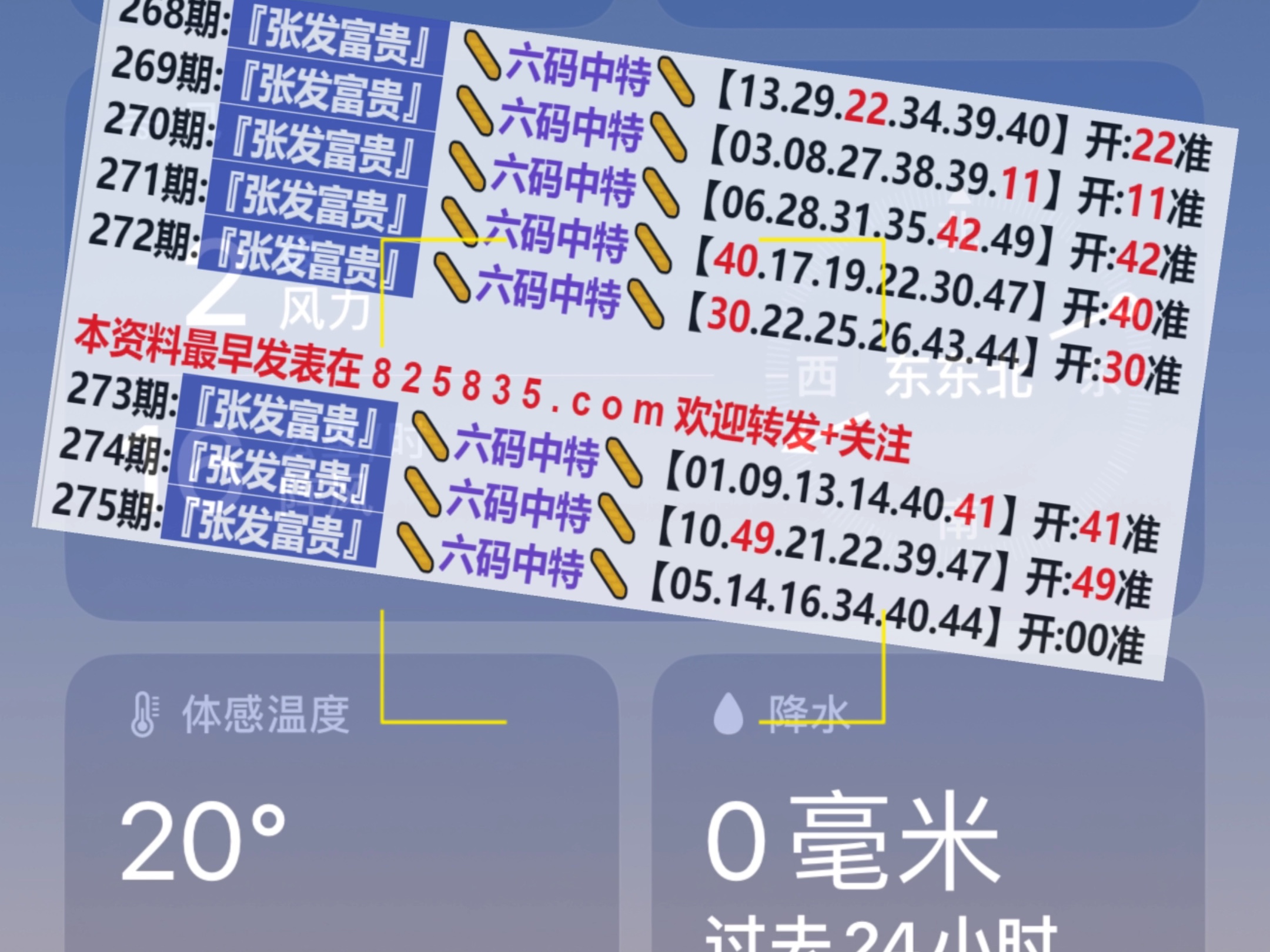 2024新奧門天天開好彩大全85期,廣泛的解釋落實支持計劃_XR10.121