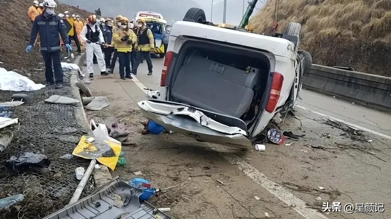 車禍現場揭示真相，引發社會關注與反思