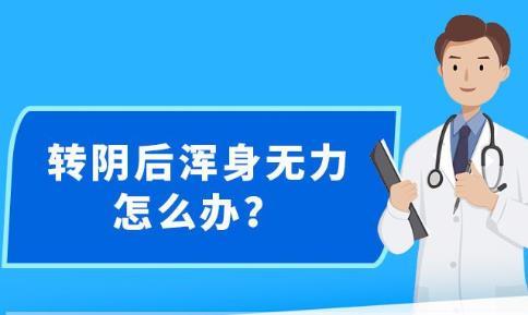 新澳精準資料免費大全,創造力推廣策略_RX版43.974