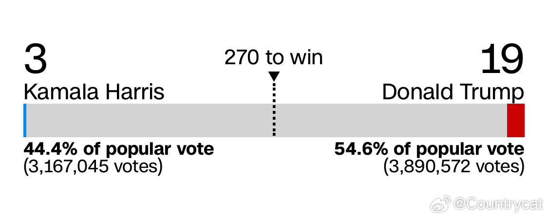 美國最新投票動態，選情分析與投票影響綜述