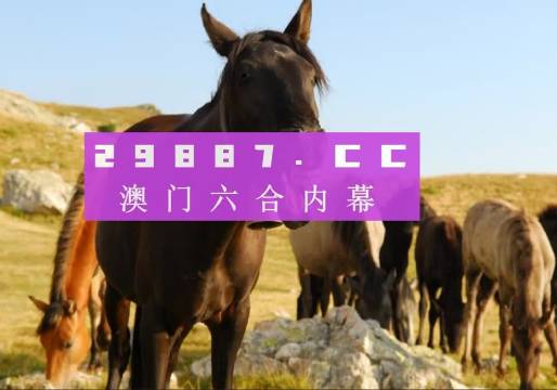 新奧門管家婆免費大全,絕對經(jīng)典解釋落實_Premium41.144