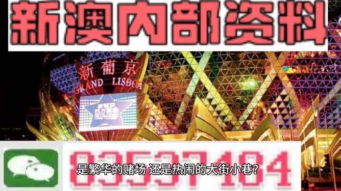 新澳門精準資料大全管家婆料,實踐性執行計劃_手游版72.805