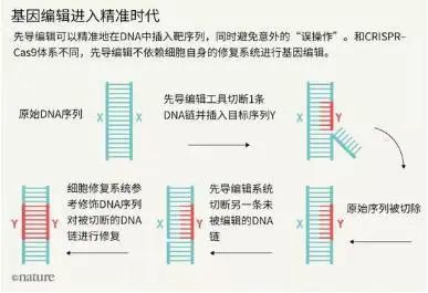 新澳門內(nèi)部一碼精準(zhǔn)公開,廣泛的關(guān)注解釋落實(shí)熱議_UHD16.863