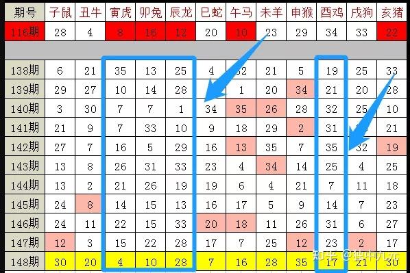 2024十二生肖49碼表,動態調整策略執行_4DM53.502