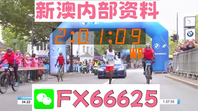 新澳精準(zhǔn)資料免費(fèi)提供2024澳門,極速解答解釋落實_OP11.201