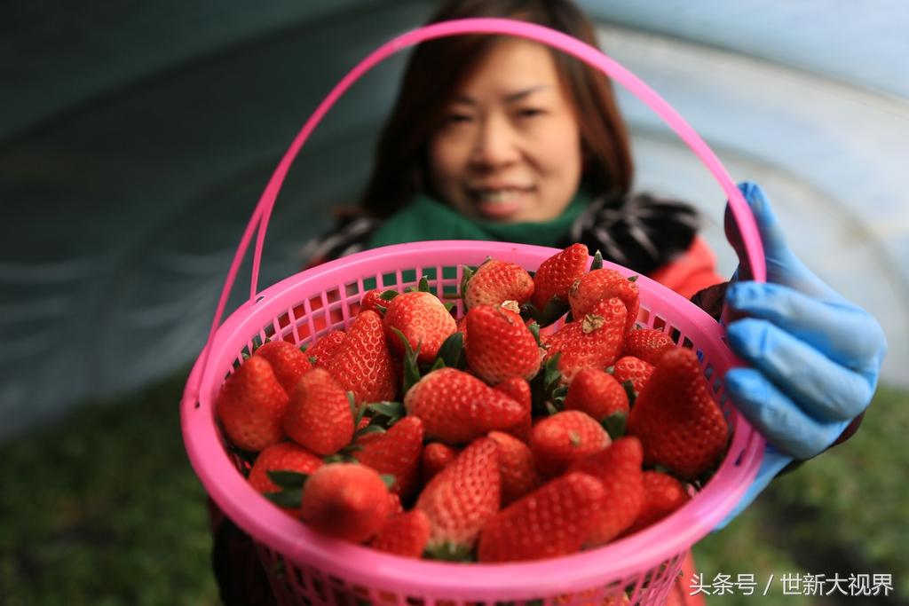 美女放心時代，美麗與安全并存的和諧篇章