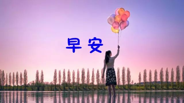 最新唯美語(yǔ)錄經(jīng)典，人生詩(shī)意與哲理的探索