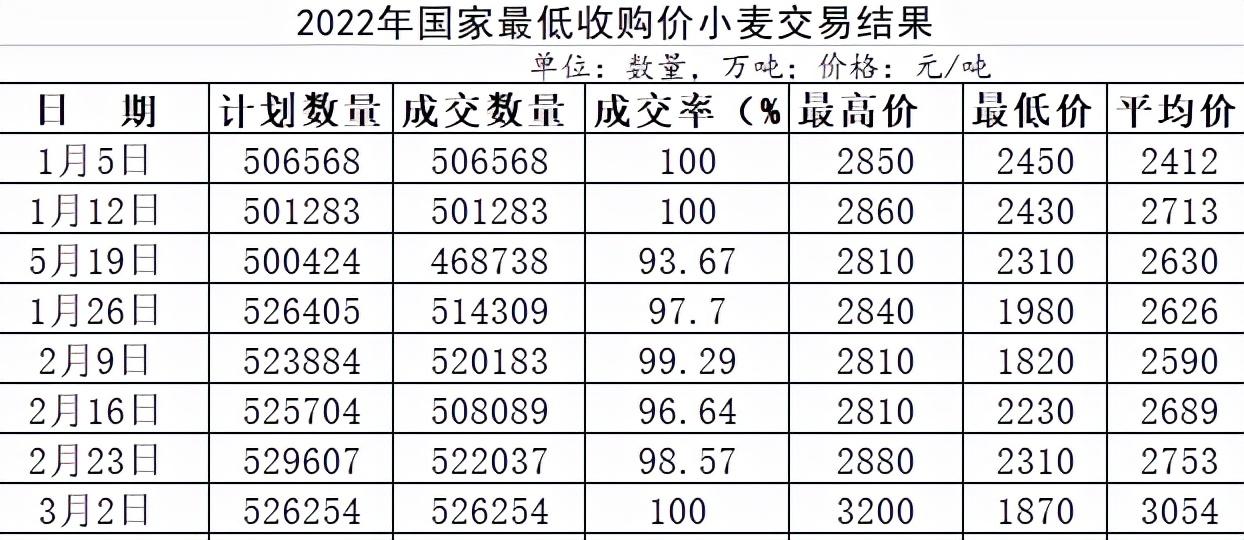 衡水小麥今日價格動態解析