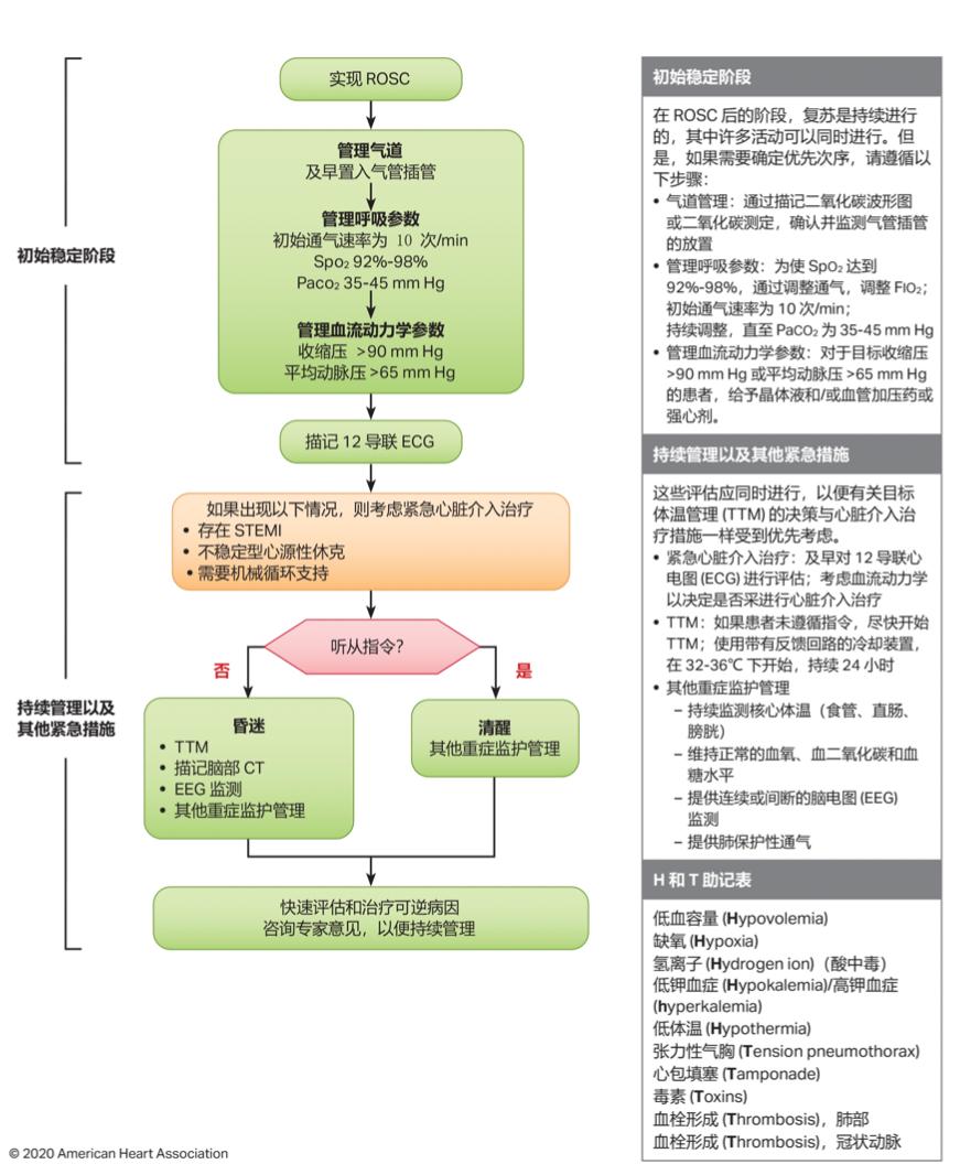 最新心血管指南引領健康新時代