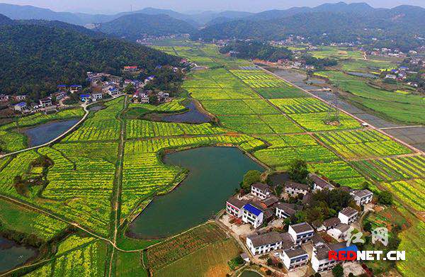 岳麓區蓮花鎮最新規劃揭秘，現代化生態宜居城鎮建設啟動