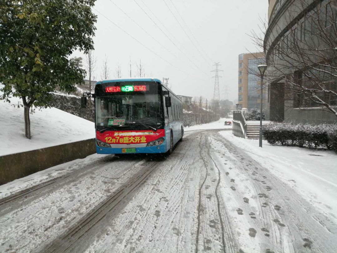 警惕鮮網(wǎng)公車涉黃問題，最新系列探討