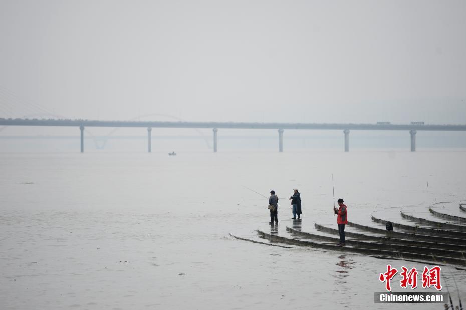 長沙湘江水位實時動態解析