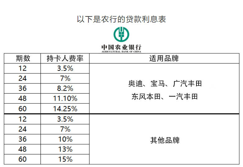 金鄉洋蔥出庫最新價格動態解析