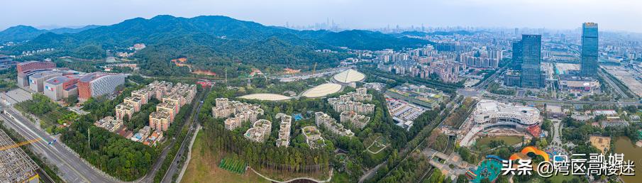 綠地國港城最新報道，城市建設的繁榮與可持續發展展望