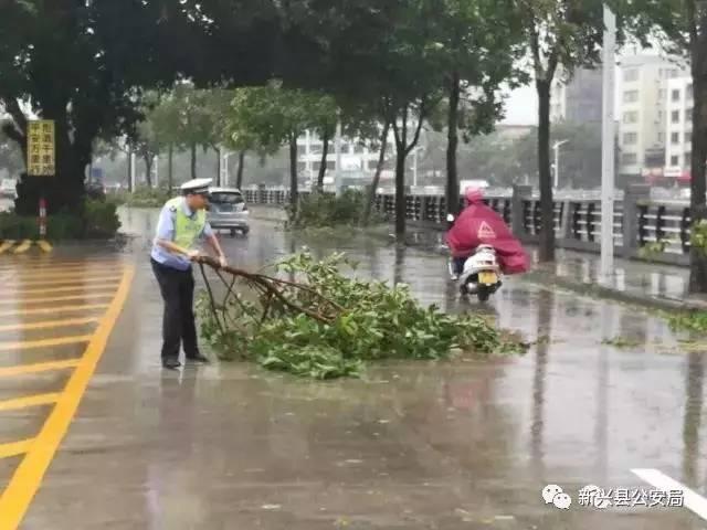 云浮最新新聞視頻，時事熱點與地方動態(tài)聚焦