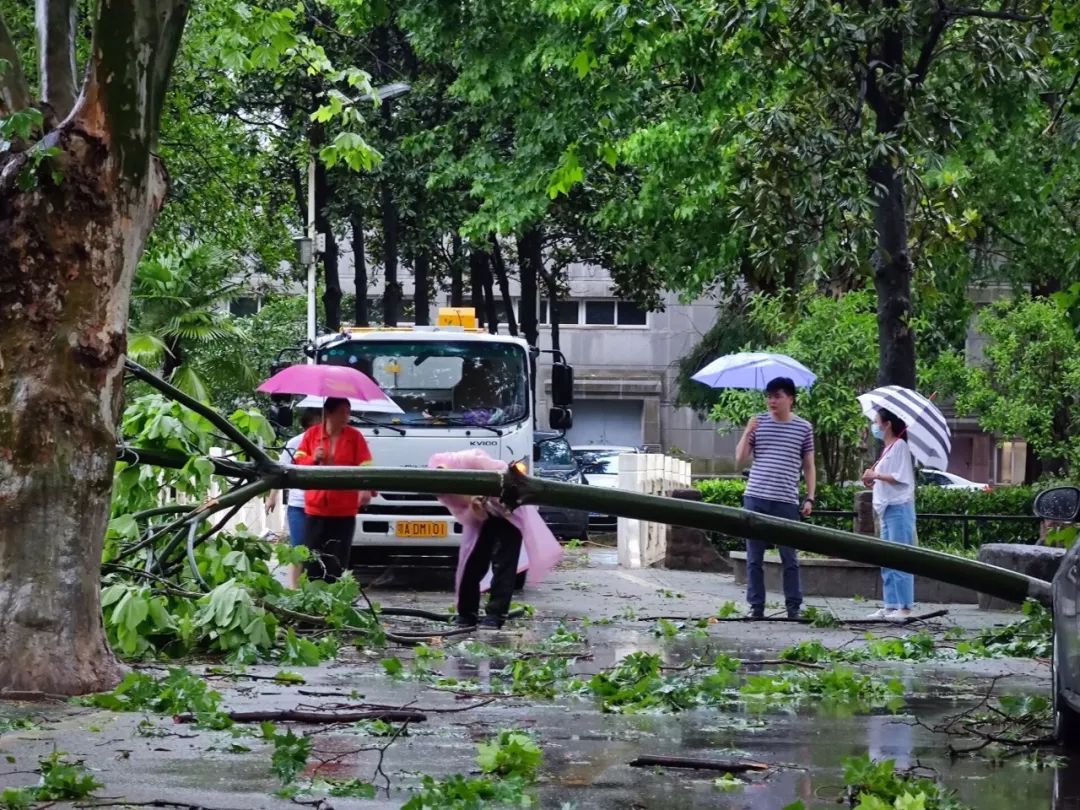 自然之力與人性的掙扎，狂風暴雨最新章節揭秘