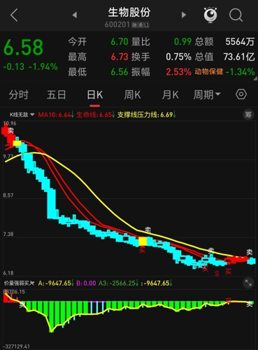 生物股份最新動態(tài)，行業(yè)趨勢、公司進(jìn)展與市場響應(yīng)的綜合分析報(bào)告