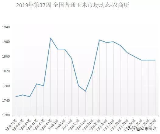 最新專家解讀玉米行情走勢分析