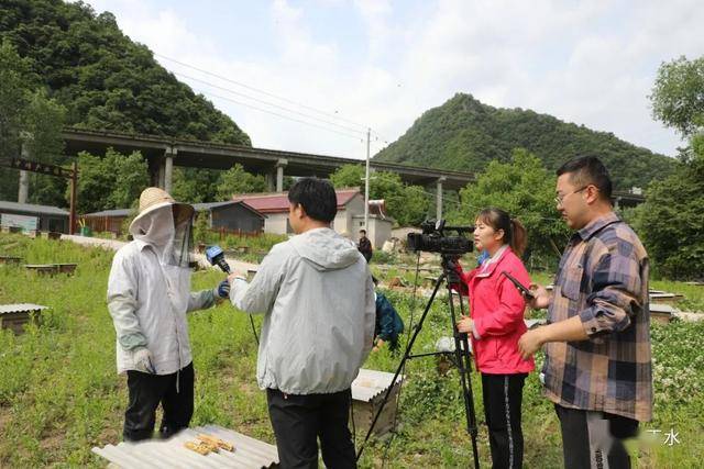 里坪村最新新聞報道概覽