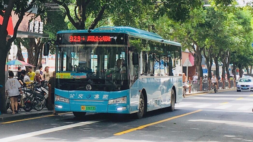 西安929路公交車最新路線詳解