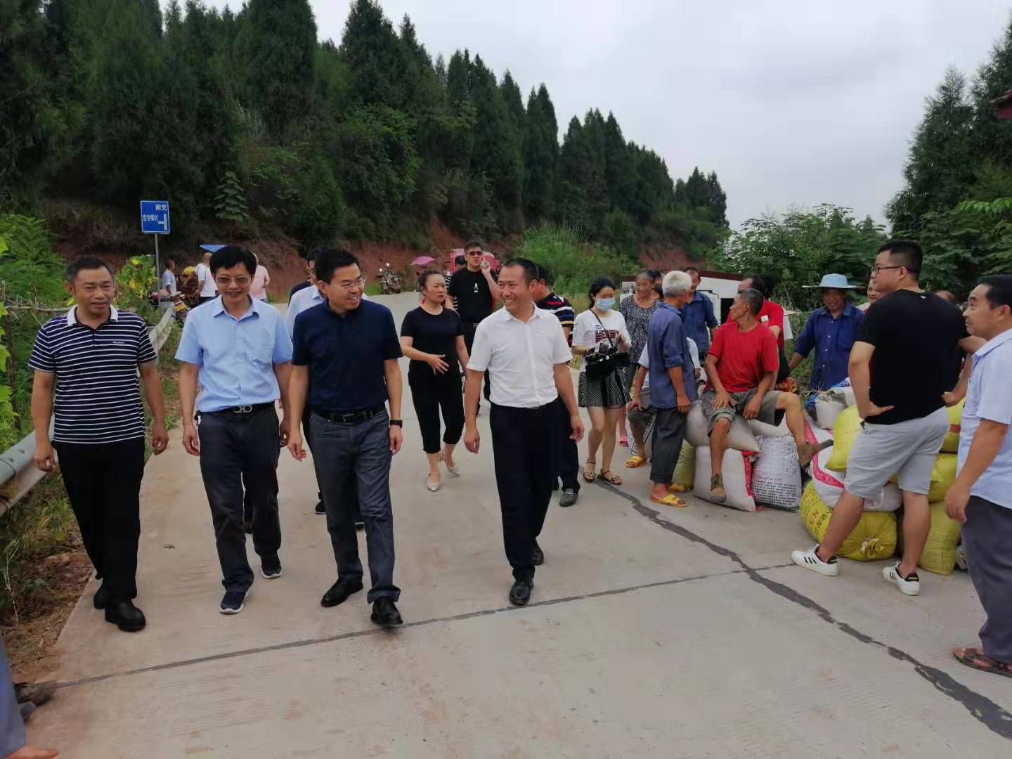 金鳳鎮新領導團隊，引領未來發展的力量崛起